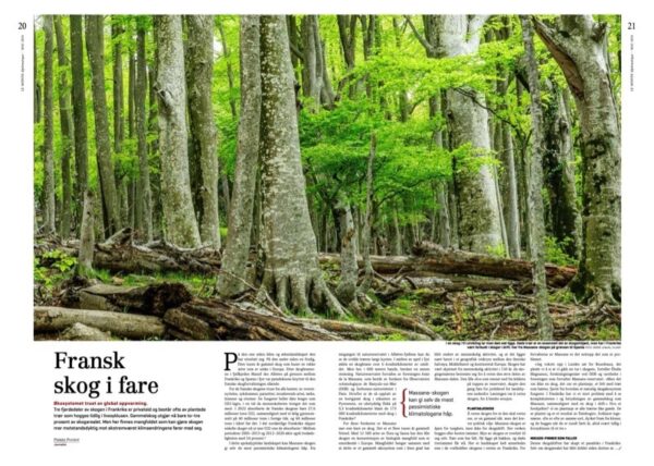 Le Monde diplomatique – mai 2024 - Bilde 11